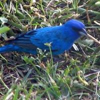 Kerry Crandall Photo 16