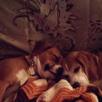 Karen Mckenney Photo 20