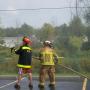 Bruce Holt Photo 19
