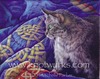 Tammy Paul Photo 7