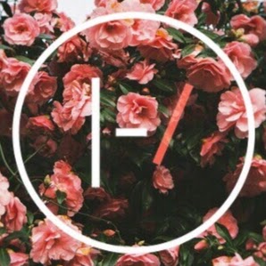 Rose Nieves Photo 16