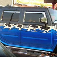 Elizabeth Tackett Photo 7