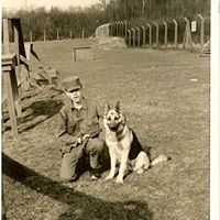Raymond York Photo 40