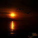 Deniz Yener Photo 6