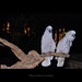 Michael Love Photo 45