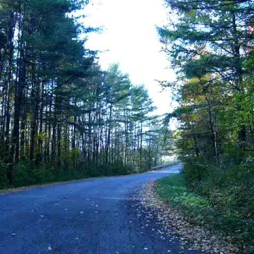 Emily Moyer Photo 12