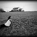 Christine Huff Photo 23