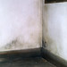 Catherine Paredes Photo 24