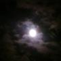 Annette Holmes Photo 28
