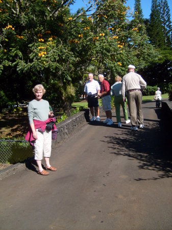 Sue Giles Photo 27